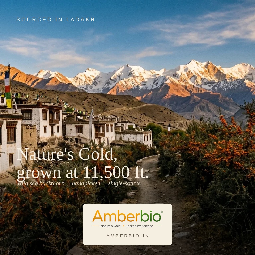 Nature's Gold, grown at 11,500 ft in Ladakh
