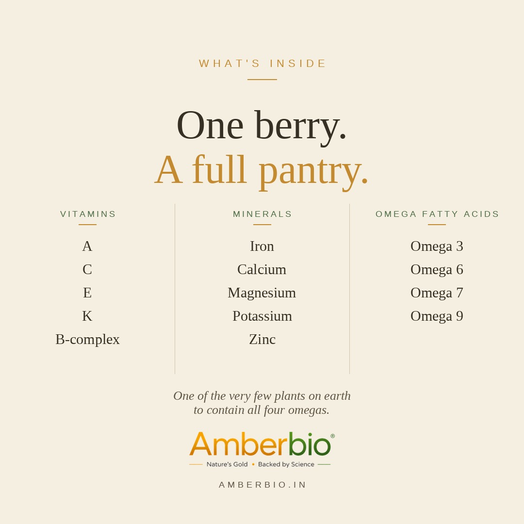 One berry. A full pantry. Sea buckthorn nutrition panel