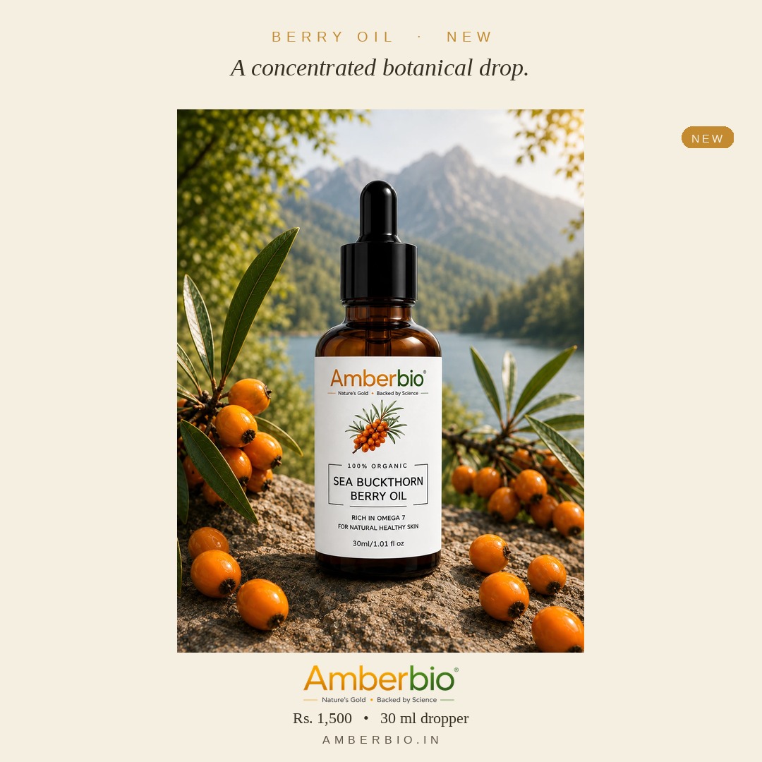 Sea Buckthorn Berry Oil — a concentrated botanical drop