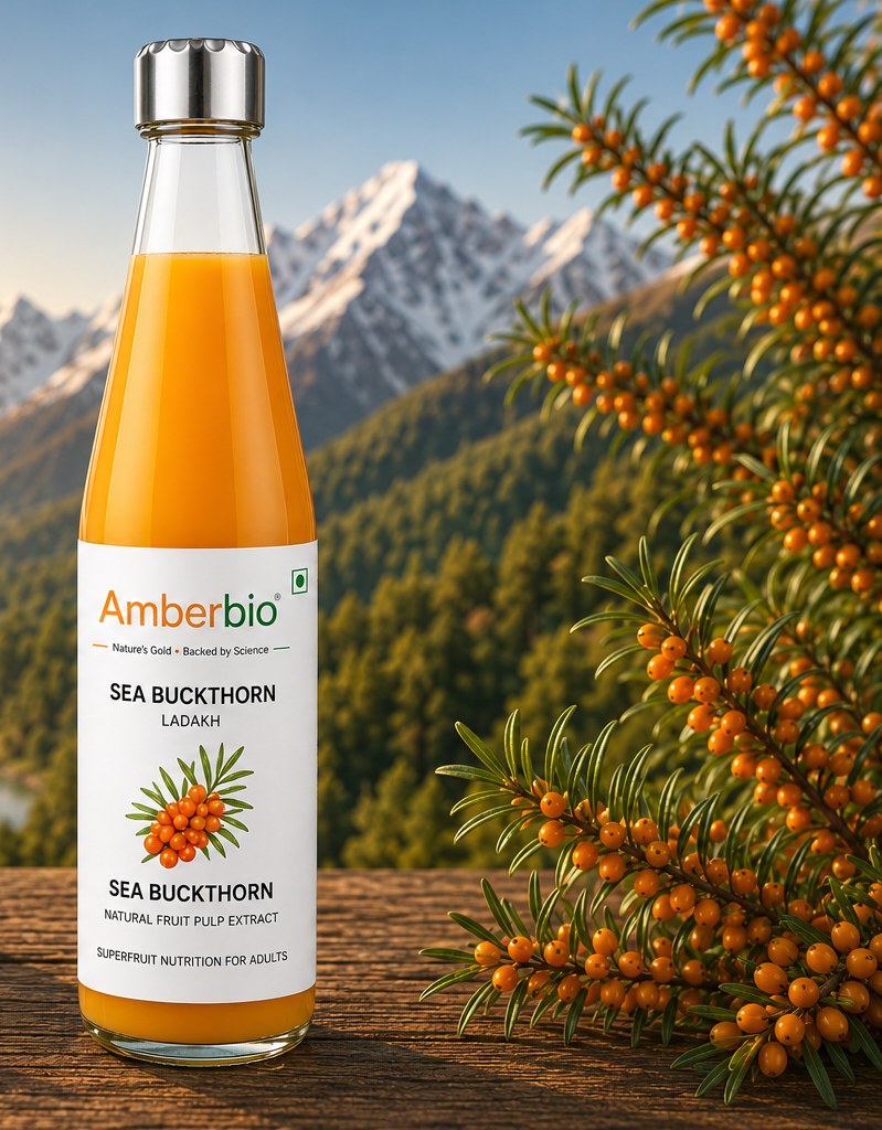 Amberbio Sea Buckthorn Juice bottle in a Ladakh valley